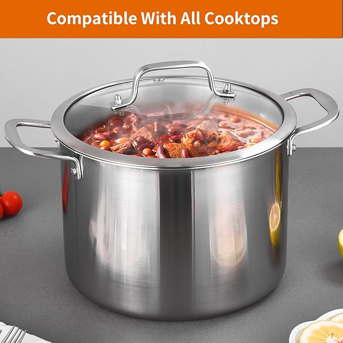 DELARLO Tri-Ply Stainless Steel 8 Quart Stock Pot, Heavy-Duty, All Stove Compatible, Up to 600℉ Soup Pot with Lid, 18/10 Induction Big Stockpot with Lids, Large Stainless Steel Induction for Cooking