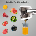 Heavy Duty Manual Lemon Squeezer - ASA ASA STORES 9.8'' Stainless Steel Rust Proof-Ergonomic Handle Citrus Juicer Oranges,Easy Extraction-Seed Catcher Pour Spout-Easy To Clean-Garlic Press-Nutcracker
