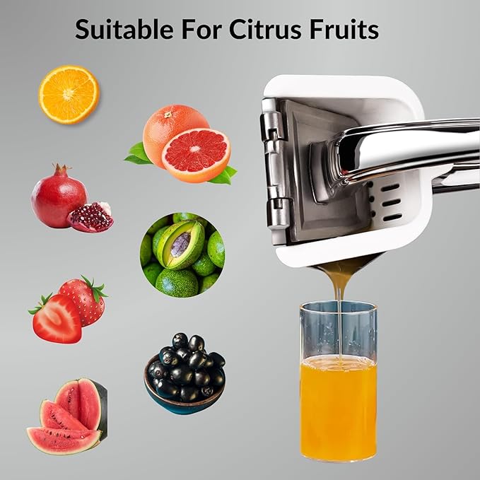 Heavy Duty Manual Lemon Squeezer - ASA ASA STORES 9.8'' Stainless Steel Rust Proof-Ergonomic Handle Citrus Juicer Oranges,Easy Extraction-Seed Catcher Pour Spout-Easy To Clean-Garlic Press-Nutcracker