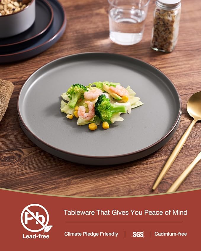 Famiware Nebula Ridge Stoneware Dinnerware Sets, Plates and Bowls Sets for 4, 12 Pieces Dishes Set, Microwave and Dishwasher Safe Kitchen Plates, Multi-color