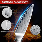 Paring Knife 3.75 Inch Small Kitchen Knife, Super Sharp Damascus Steel Fruit Knife, Multifunctional Peeling Knife for Cutting Fruit Vegetables