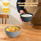 Homienly Cereal Bowl Set, Wheat Straw Fiber Unbreakable Lightweight Bowls Set (Grey Stone, 26 OZ)