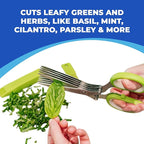 Jenaluca 5 Blade Herb Scissors - Salad Scissors - Cut & Chop Fresh Herbs & Leafy Greens - Stainless Steel Kitchen Shear Set with Cleaning Comb & Safety Cover - Kitchen Gadget - Green