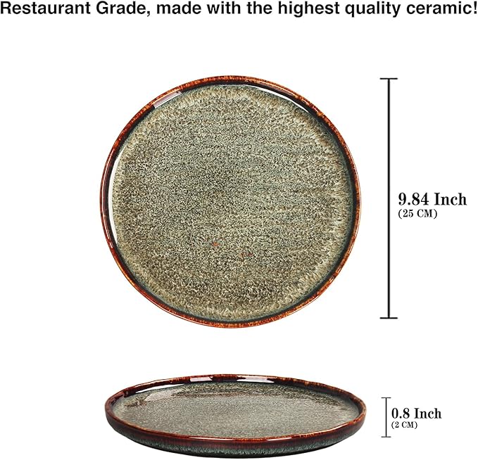 Appetizer plate Porcelain Dinner Plates Set of 4,for Main Dish,Steak,Bread,Risotto,Pasta,Salad - Microwave,Oven and Dishwasher Safe,Scratch Resistant durable,9.84 Inch Black