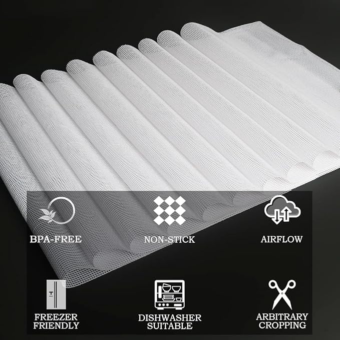 Mesh Silicone Dehydrator Sheets, 10x10 in 10 Pcs/Sets for Food Dehydrator & Freeze Dryer (10x10 INCH Mesh Silicone Dehtdrator Sheet)