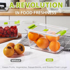 LUXEAR Fruit Vegetable Storage Container, 4 Pack Fresh Containers for Fridge with Lids BPA-Free Produce Refrigerator Organizer for Fruit, Veggie, Berry, Meat Storage Keep Fresh Longer-Green