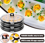 HANSGO Deviled Egg Containers with Lid, 3PCS Deviled Egg Platter Carrier Holder Trays with 66 Slots for Party and Home Kitchen, Black