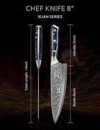 Chef Knife - 8 inch - Xuan Series - VG10 Damascus Steel Kitchen Knife - Resin Handle (Starry Black)