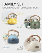 Tea Kettle Stovetop,2.5QT Stainless Steel Whistling Teapot for Stove Top Aesthetic,Portable Water Kettles Camping with Anti-hot Silicone Handle,Suitable for All Heat Sources,Black