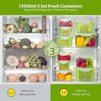 LUXEAR Fruit Vegetable Produce Storage Saver Containers with Lid & Colander 5 Packs BPA-Free Plastic Fresh Keeper Set | Refrigerator Fridge Organizer | for Salad Berry Lettuce Food Celery - Green