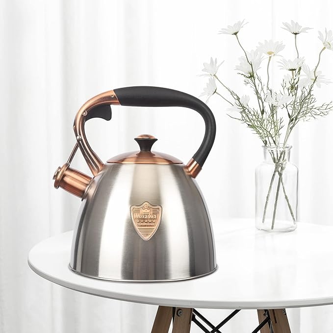 Tea Kettle -2.9 Quart Tea Kettles Stovetop Whistling Teapot Stainless Steel Tea Pots for Stove Top Whistle Tea Pot