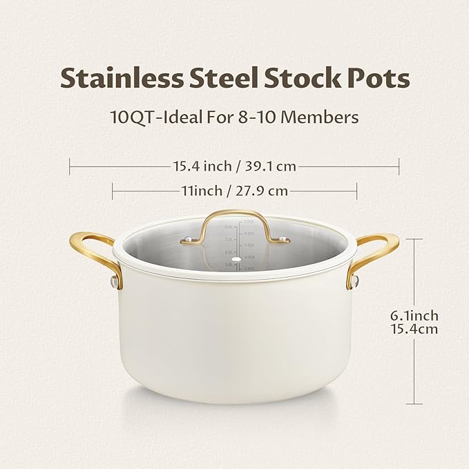BEZIA 10 Quart Large Stainless Steel Stock Pot, Tri-Ply Stainless Steel Stockpot, Visible Lid with Silicone Edging, Sturdy & Double Handle, Induction Cooking Pot for Pasta, Soup, Spaghetti