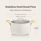 BEZIA 10 Quart Large Stainless Steel Stock Pot, Tri-Ply Stainless Steel Stockpot, Visible Lid with Silicone Edging, Sturdy & Double Handle, Induction Cooking Pot for Pasta, Soup, Spaghetti