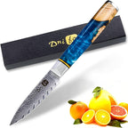 Classic Paring Knife 3.5 Inch, Japanese VG10 Steel Damascus Fruit Knife, Sharp Small Kitchen Knife with Gift Box and Resin Wood Handle,Ideal Birthday Gift for Men and Women