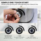 Electric Spice and Nut Grinders - 3 Stainless Steel Blades, 1 Filter, 1 Brush - 500W Grinder for Kitchen Dry Use (Black)