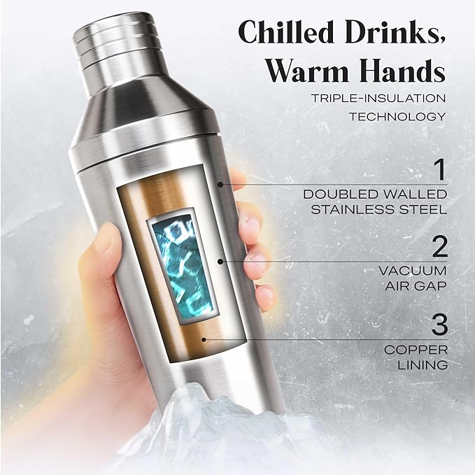Insulated Cocktail Shaker Set | Double Wall Stainless Steel | Martini Shaker for Home Bar Bartending | Built-in Drink Measurement System & Strainer, Travel Bag, 35 Recipes | Gift Set (Silver)