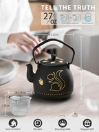 Toptier Teapot with Removable Infuser, Cast Iron Tea Kettle Stovetop Safe, Squirrel Design Tea Pot Coated with Enameled Interior for 32 Ounce (950 ml), Black