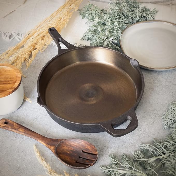 Backcountry Iron 10-1/4 Inch Smooth Wasatch Pre-Seasoned Round Cast Iron Skillet