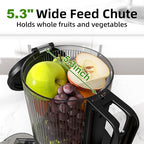 Cold Press Juicer, 5.3" Wide Feed Chute Juice Extractor Machine with 400W, High Juice Yield, Slow Masticating Juicer for Whole Vegetables & Fruits, Grey