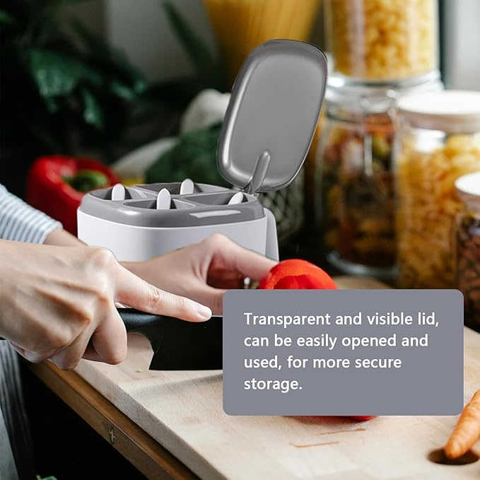 Seasoning Box with Lid and Spoon, 4 Compartment Spice Pots with Handle for Household kitchen for Salt Sugar Pepper Powder, Leakproof, Easy to Clean