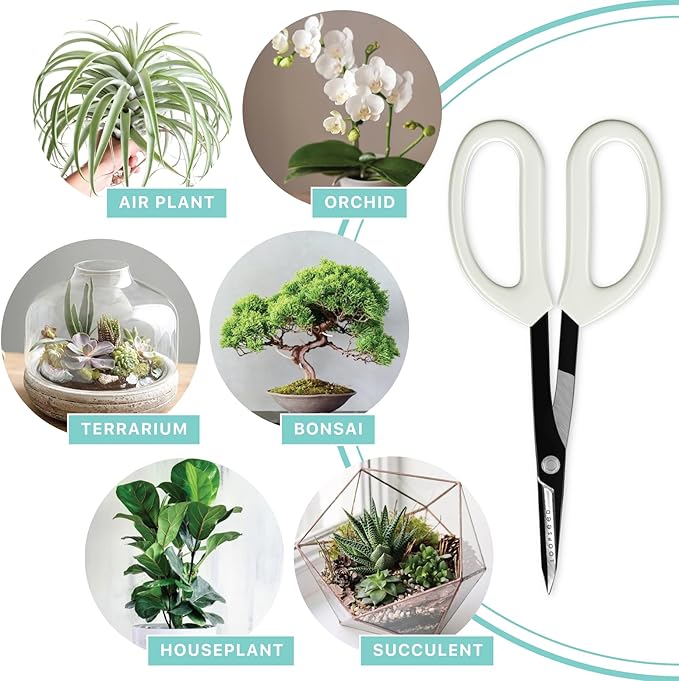Precision Gardening Scissors Plant Trimming Pruning Shears Garden Pruners for Orchid Bonsai Hydroponic Flower Clipper Garden Snip 8 Inch Long