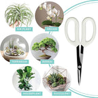 Precision Gardening Scissors Plant Trimming Pruning Shears Garden Pruners for Orchid Bonsai Hydroponic Flower Clipper Garden Snip 8 Inch Long