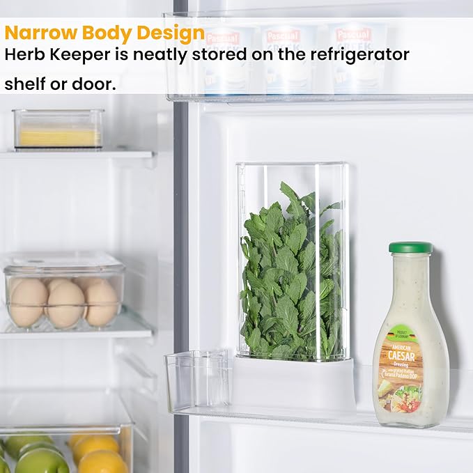vacane Herb Keeper for Refrigerator, Fresh Herb Saver Herb Storage Containers, Cilantro Container for Fridge Asparagus Container, Dishwasher Safe-2 Pack