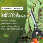 Saboten 7.9" Professional Japanese Harvesting Shears – Straight Blade, Stainless Steel with Fluorine Coating, Spring-Loaded, Ergonomic Grip – forest Originals, Made in Japan