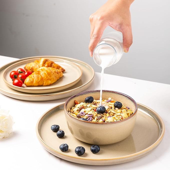 AmorArc Dinner Plates Set of 6, 10.5 Inch Reactive Glaze Ceramic Plates Set, Microwave, Dishwasher Safe, Scratch Resistant, Modern Large Dinnerware Dishes Set Kitchen Stoneware Plates