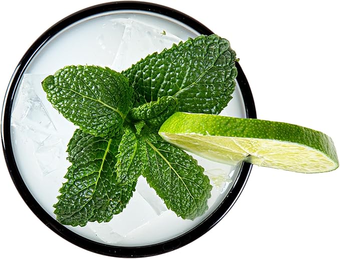 Restaurantware-Vetri 16 Ounce Tall Drinking Glasses, 24 Dishwashable Beverage Glasses - No-Lead, Elegant, Gray Glass Tumblers, Ideal For Water, Juice Beer, Cocktails, Liquor, Iced Tea, And More