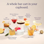 SAYSO Skinny Spicy Margarita Cocktail Sticks | Craft Cocktail or Mocktail in 1 Min, Just Add Water + Spirits (0g Sugar, 15 Calories, Vegan, Gluten-Free, Kosher, Non-GMO), 8 Single-Serve Mixers