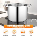 E-far 16 Quart Stainless Steel Stock Pot, Large Heavy Duty Induction Stockpot with Glass Lid for Cooking Soup Canning, Thick Tri-Ply Bottom & Riveted Handle, Compatible with All Stove, Dishwasher Safe
