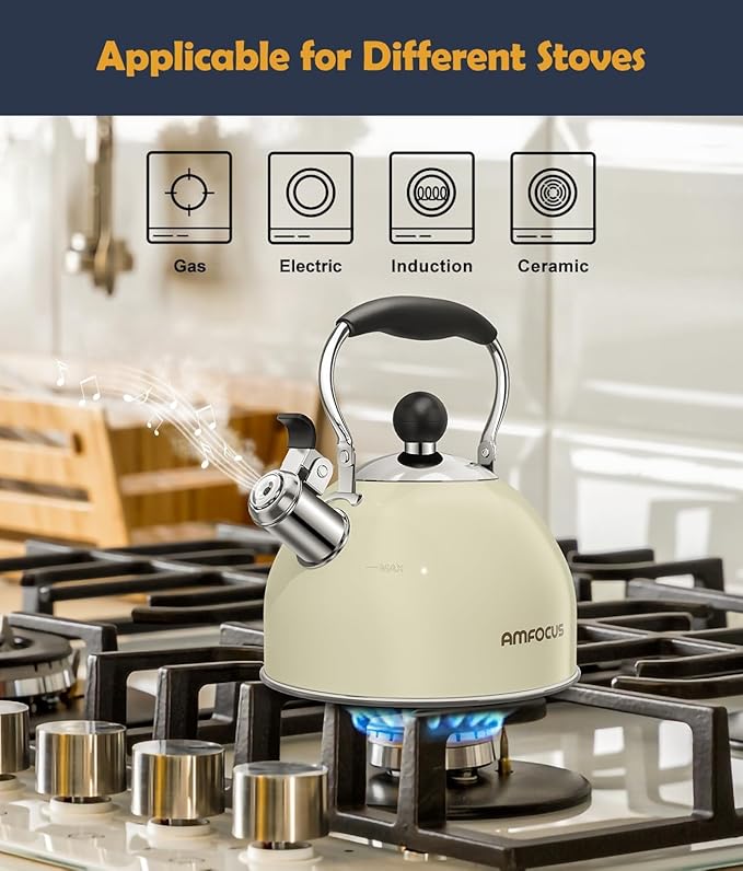 Tea Kettle, 2 Quart Stainless Steel Whistling Tea Kettle, Stovetop Whistling Teakettle Tea Pots for Stove Top with Ergonomic Folding Handle, Small Teapot, Water boiler for Tea, Coffee (White)