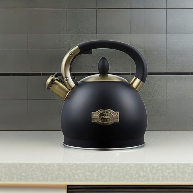 Stove Top Whistling Tea Kettle- Stainless Steel Teakettle Teapot with Ergonomic Handle 2.6 Quart(Black)