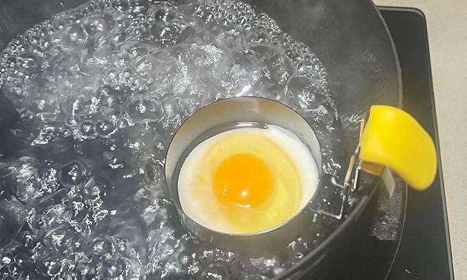 Egg Poacher-halteoly,poached egg maker poached egg cooker eggs poachers,Egg Poachers Nonstick best rated,2 Pack with Brush