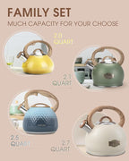 Tea Kettle, Stovetop Teapot, 2.5 Quart, Loud Whistle, Food Grade Stainless Steel and Smooth Wood Pattern Handle, Sophisticated Look for Hiking, Picnic, for Tea, Coffee, (Yellow)