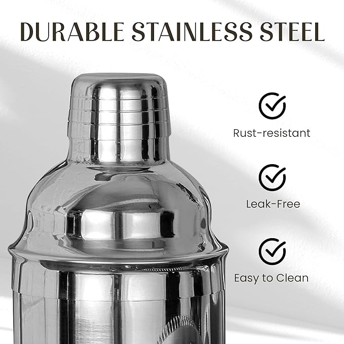 Mixology & Craft Bartender Kit – 15-Piece Cocktail Shaker Set with Bar Tools, Premium Stainless Steel Drink Mixer Accessories for Home Bar, Includes Bamboo Stand, Plus Exclusive Recipe Cards (Silver)