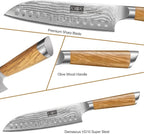 Damascus Kitchen Knife Set 3-Piece, Ultra Sharp 8" Chef Knife, 7" Santoku Knife, 3.75" Paring Knife, Professional VG-10 Damascus Super Steel Chef Knife Set with Ergonomic Handle