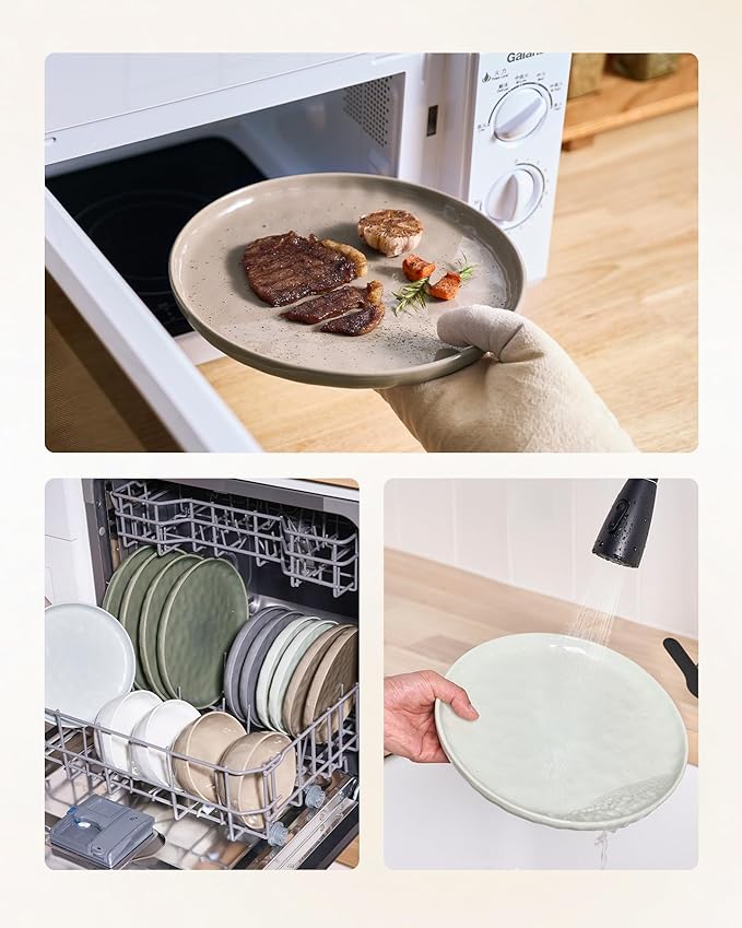 Famiware Mars Plates and Bowls Set, 12 Pieces Dinnerware Sets, Dishes Set for 4, Multi-color