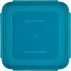 Rachael Ray Leak-Proof Nestable Container Food Storage Bin Set, 10-Piece Square, Teal Lid