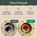 Roobi Descaling and Cleaning Kit Compatible with Nespresso Originaline. Includes 1 Bottle of Descaling Solution, 12 Cleaning Tablets and 1 Reusable Pod. Carbon Neutral. 1 Year Supply.