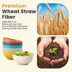 Homienly Large Bowl Set of 6, 60 oz Unbreakable Wheat Straw Bowls, Microwave Safe & Reusable for Salad, Cereal, Soup, Ideal for Camping, Picnic, Family Dining (Multi)