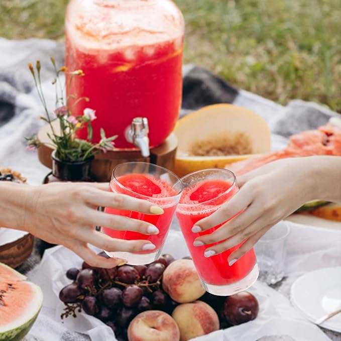 Plastic Cups Reusable Plastic Drinking Glasses Set of 12 - Unbreakable Plastic Tumblers - Acrylic Glasses Drinkware - BPA-Free Dishwasher-Safe - Highball Lowball Mixed Set - 6 Each 12 OZ/17 OZ