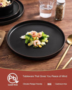 Famiware Nebula Ridge Stoneware Dinnerware Sets, Plates and Bowls Sets for 4, 12 Pieces Dishes Set, Microwave and Dishwasher Safe Kitchen Plates, Matte Black