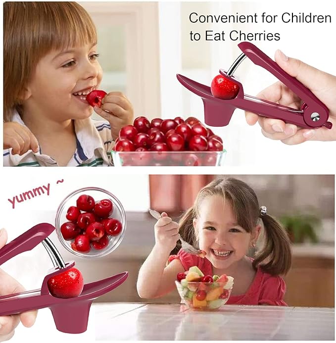Cherry Pitter Tool,Cherry Pitter Cherry Stone Remover Tool for Making Cherry Jam Cherries Corer Pitter Tool，Cherry & Olive Pitter with Space-Saving Lock Design,Cherries Corer Pitter Tool, Red