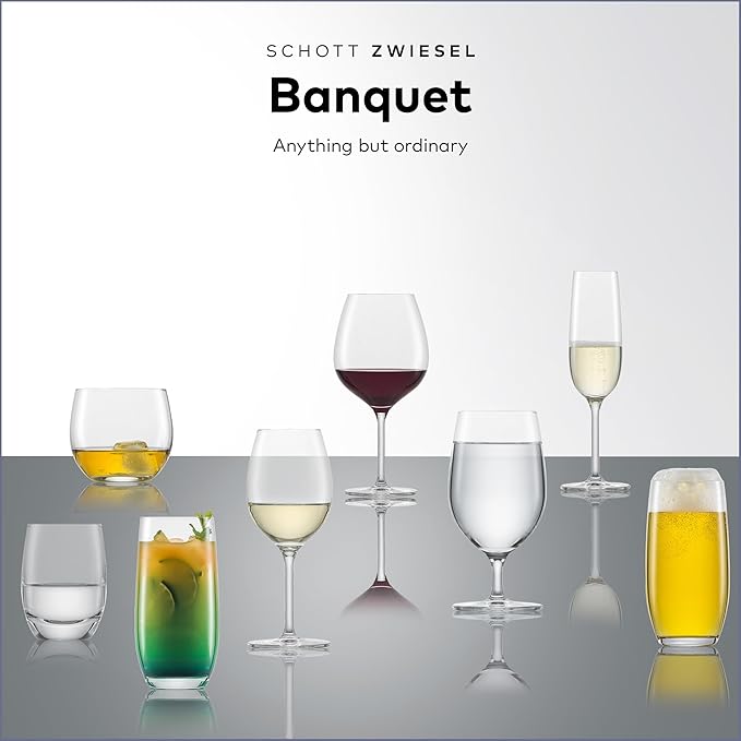 SCHOTT ZWIESEL Banquet Iced Beverage Cocktail Glass (Set of 6), Bar Glasses for Long Drinks, Dishwasher-Safe Machine-Made Tritan Crystal Glasses, Made in Germany(18 Ounce)