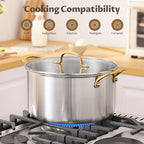 BEZIA 8 Quart Tri-Ply Stainless Steel Pot, Stockpot with Tempered Glass Lid, Exceptional Heat Distribution, Induction Pot, Induction Cooking Pot for All Stoves, Dishwasher Safe, Silver