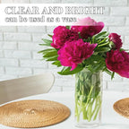 Everyday Drinking Glasses Set of 4, 20 oz Lightweight Thin Highball Glasses,Clear Lead-Free Tall Glass Cups For Water,Juice,Mojito,Mixed Drinks,Iced Coffee,Ice Tea,Kitchen Cocktails Glass