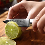 Wakoli MIK Damascus 3-Piece Knife Set – Japanese Style Kitchen Knives | Genuine Damascus Steel Blades with VG10 Core | Ergonomic Micarta Handles | Professional Chef Knife Gift Set in Elegant Box