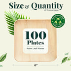 Palm Leaf Plate Bamboo Paper Disposable 6 Inch 100 Bulk Appetizer and Dessert Square Party Pack Eco Biodegradable Compostable Wooden Plates Better Than Plastic Plates By KoalaLove